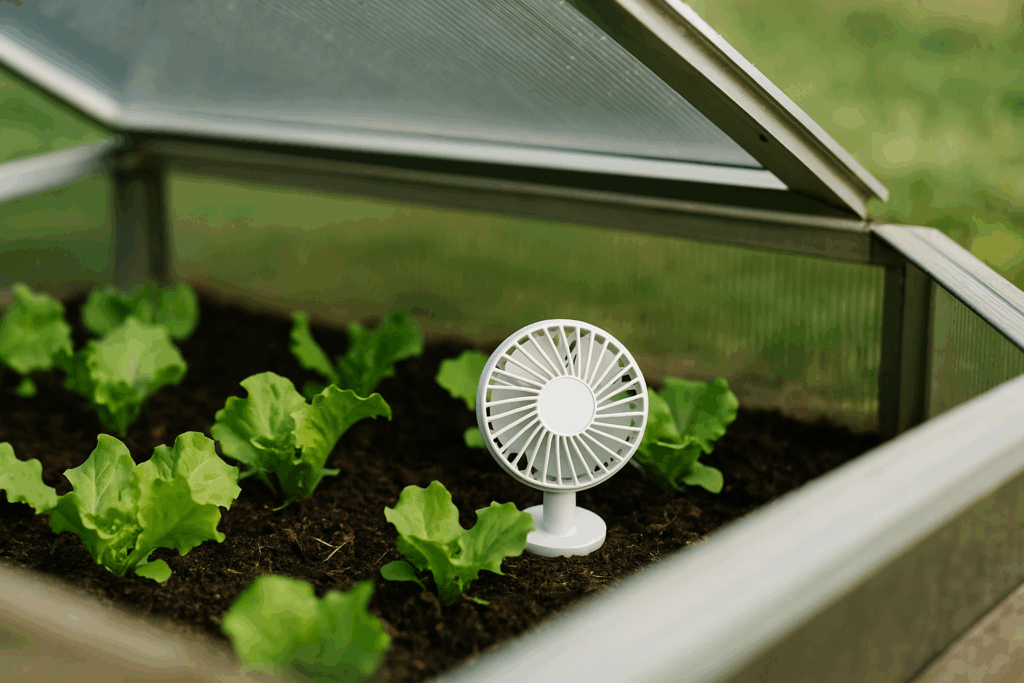 Offene Frühbeet-Haube mit kleinem Ventilator, sanfte Umluft zwischen den Pflanzen